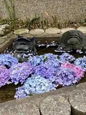 萬福寺(京都府)