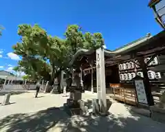 石切劔箭神社(大阪府)