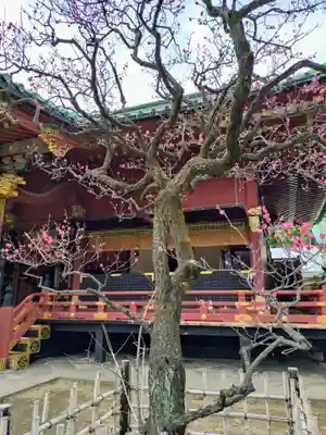 根津神社(東京都)