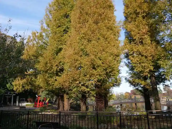 千束八幡神社の自然