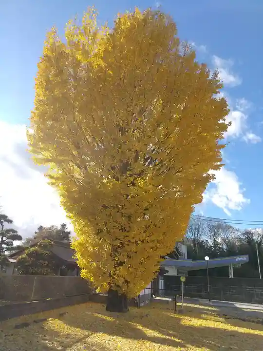 見性寺(栃木県)