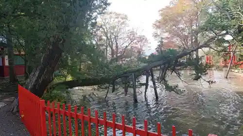 生島足島神社の庭園