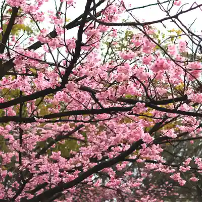 三津厳島神社(愛媛県)