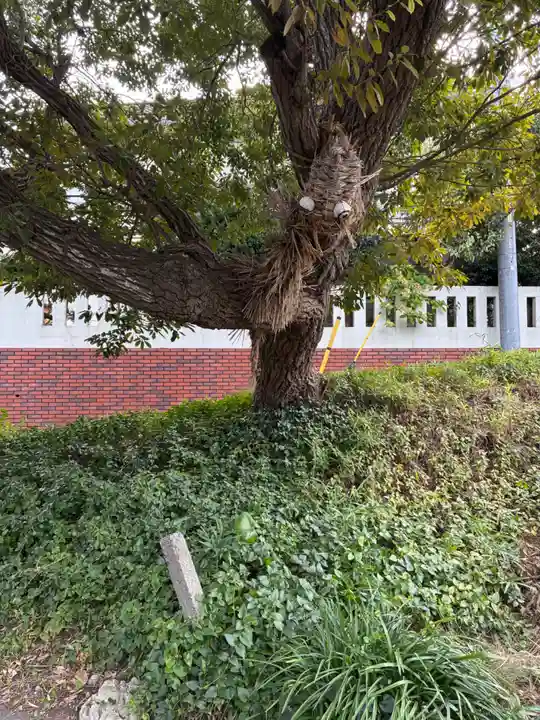 国府台天満宮(千葉県)