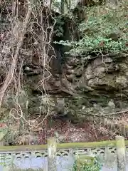 東福寺の自然