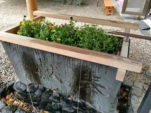 上目黒氷川神社の{uncategorized: "未分類", other: "その他", undefined: "問題あり", building: "その他建物", grave: "お墓", sacred_gate: "鳥居", guardian: "狛犬", statue: "像", buddha: "仏像", history: "歴史", nature: "自然", garden: "庭園", animal: "動物", pagoda: "塔", temizu: "手水舎", mountain_gate: "山門・神門", sanctuary: "本殿・本堂", subordinate: "末社・摂社", art: "芸術", scenery: "景色", jizo: "地蔵", ema: "絵馬", goshuin: "御朱印", omikuji: "おみくじ", items: "授与品その他", amulet: "お守り", goshuincho: "御朱印帳", eats: "食事", festival: "お祭り", votive_dance: "神楽", shichigosan: "七五三参", wedding: "結婚式", experience: "体験その他", initially: "初詣", around: "周辺", anti_infection: "感染症対策"}