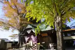 鹿島御子神社の本殿