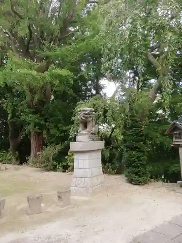 三春大神宮の狛犬