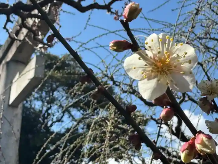 結城神社(三重県)