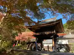 普門寺(切り絵御朱印発祥の寺)の山門