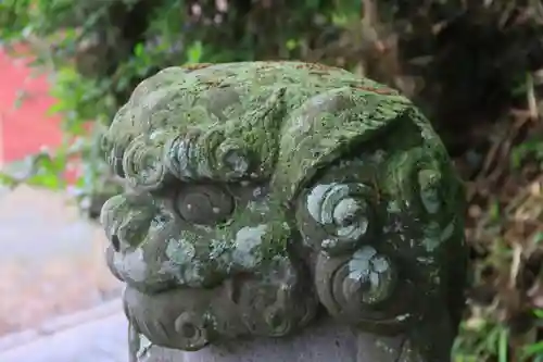 阿久津「田村神社」（郡山市阿久津町）旧社名：伊豆箱根三嶋三社の狛犬