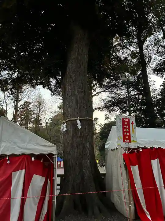 岩槻久伊豆神社(埼玉県)