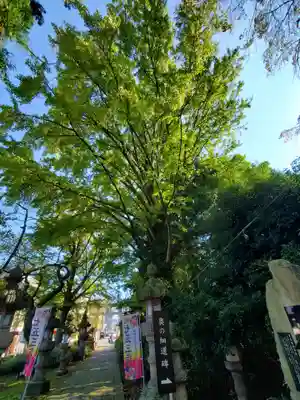 神炊館神社 ⁂奥州須賀川総鎮守⁂(福島県)