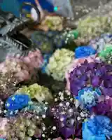 札幌諏訪神社の手水舎