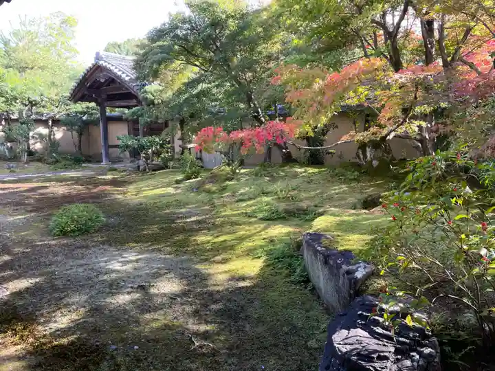 清凉寺の庭園