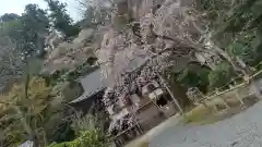 室生寺の建物その他