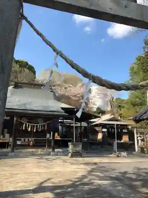 賀茂別雷神社（上賀茂神社）(京都府)