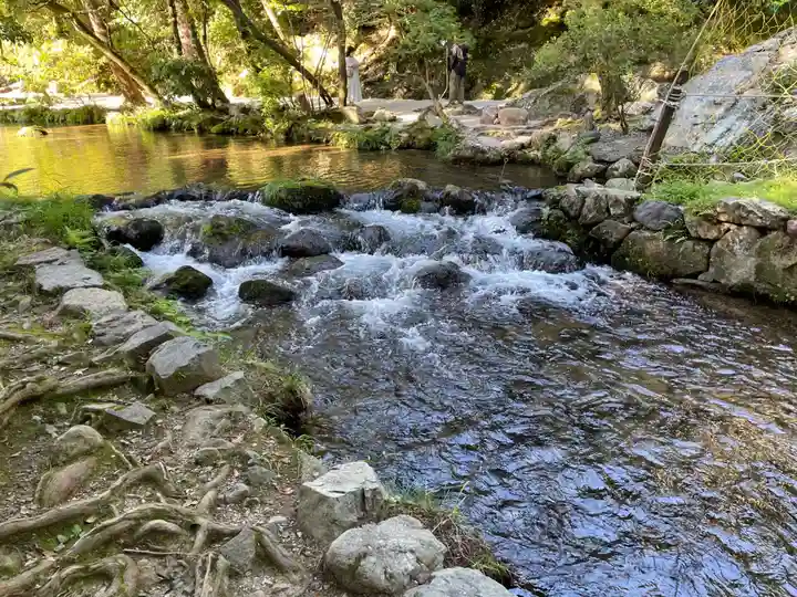 賀茂別雷神社(上賀茂神社)(京都府)