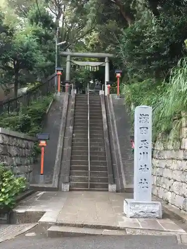瀬田玉川神社のその他建物