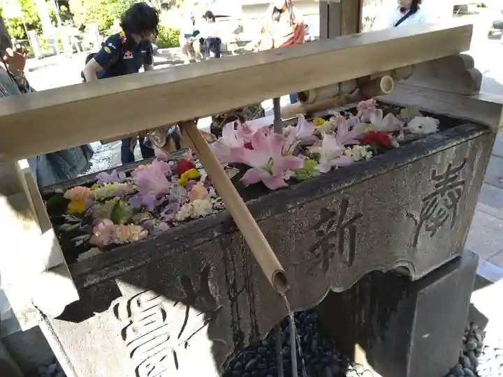 鳩森八幡神社の手水舎
