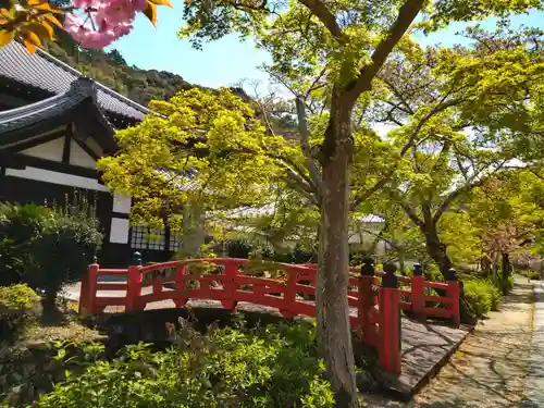 金剛寺(大阪府)