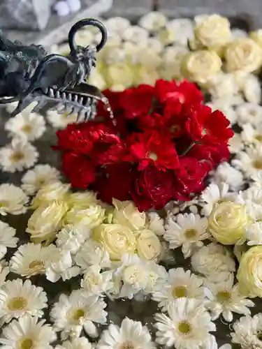 札幌諏訪神社の手水舎