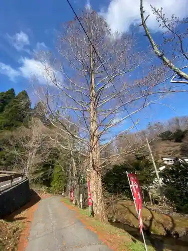 寺下観音の自然