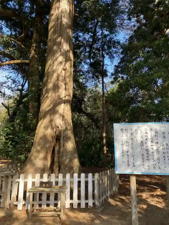 鎌数伊勢大神宮の{uncategorized: "未分類", other: "その他", undefined: "問題あり", building: "その他建物", grave: "お墓", sacred_gate: "鳥居", guardian: "狛犬", statue: "像", buddha: "仏像", history: "歴史", nature: "自然", garden: "庭園", animal: "動物", pagoda: "塔", temizu: "手水舎", mountain_gate: "山門・神門", sanctuary: "本殿・本堂", subordinate: "末社・摂社", art: "芸術", scenery: "景色", jizo: "地蔵", ema: "絵馬", goshuin: "御朱印", omikuji: "おみくじ", items: "授与品その他", amulet: "お守り", goshuincho: "御朱印帳", eats: "食事", festival: "お祭り", votive_dance: "神楽", shichigosan: "七五三参", wedding: "結婚式", experience: "体験その他", initially: "初詣", around: "周辺", anti_infection: "感染症対策"}