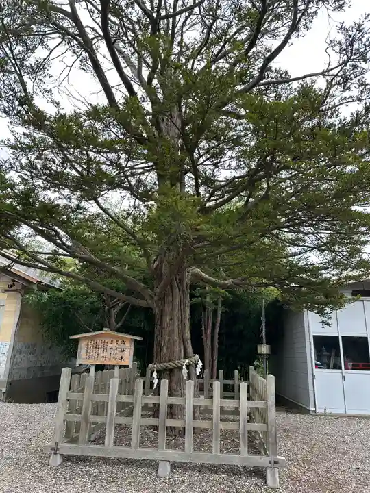 湯倉神社の自然
