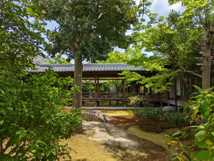 建仁寺(建仁禅寺)(京都府)