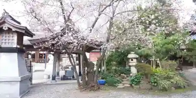 丸子神社　浅間神社の手水舎