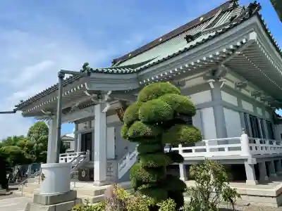 選擇寺(千葉県)