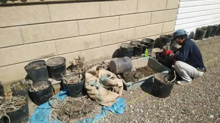 浄土宗 光明山 大蓮寺(照曜会館)の自然