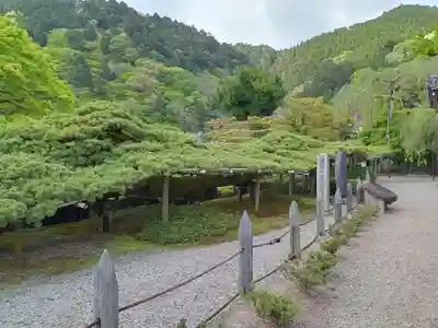 善峯寺(京都府)