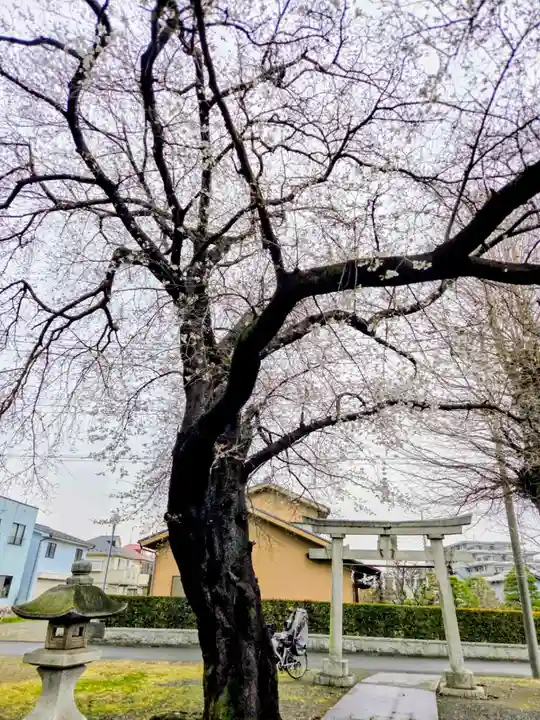 八幡大神社(東京都)