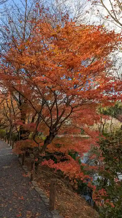 龍安寺(京都府)