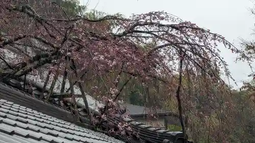 十輪寺(京都府)