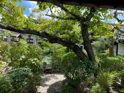 妙徳寺(京都府)