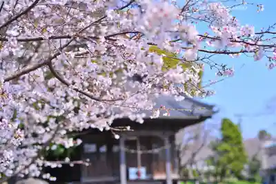 川和八幡神社(神奈川県)