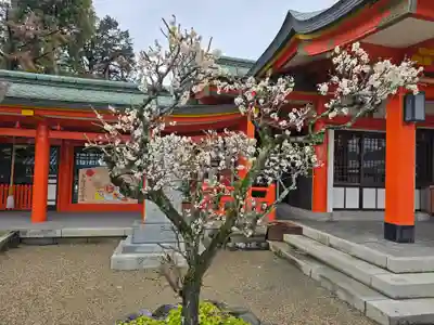 多治速比売神社(大阪府)