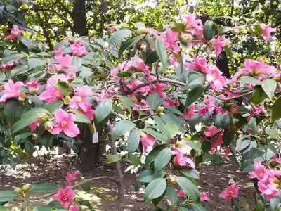 城南宮(京都府)