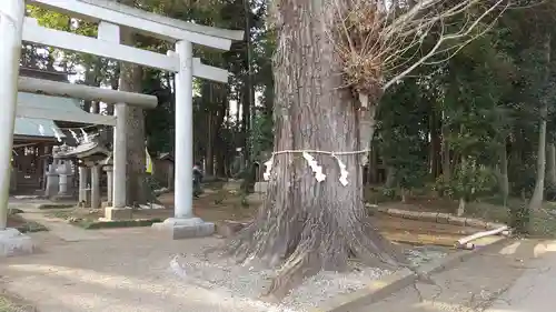 弓田香取神社(茨城県)