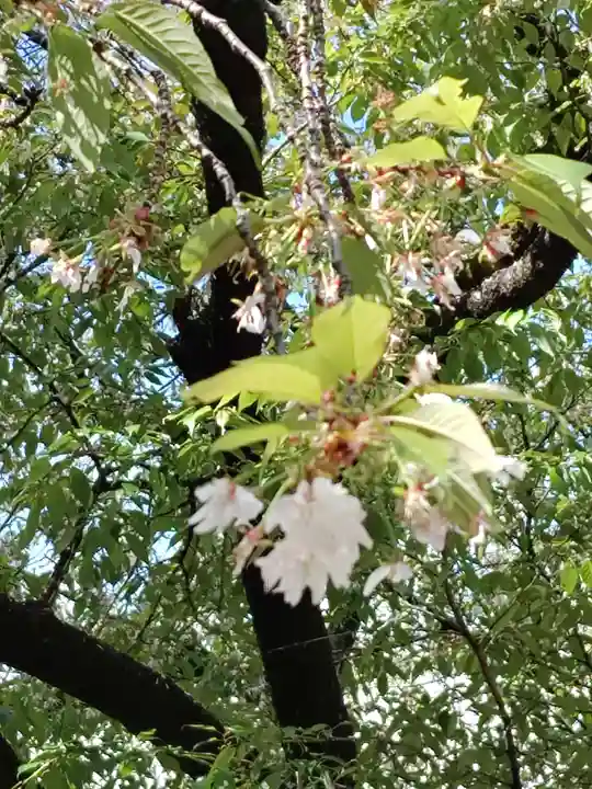 願成寺(岐阜県)