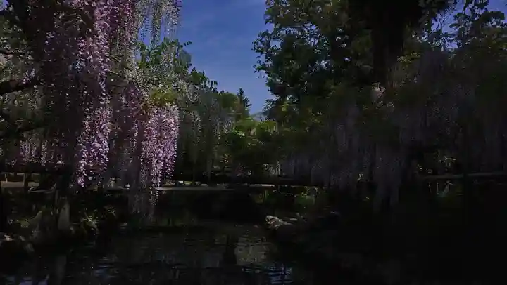 歌泉堂(春日大社神苑萬葉植物園内鎮座)(奈良県)