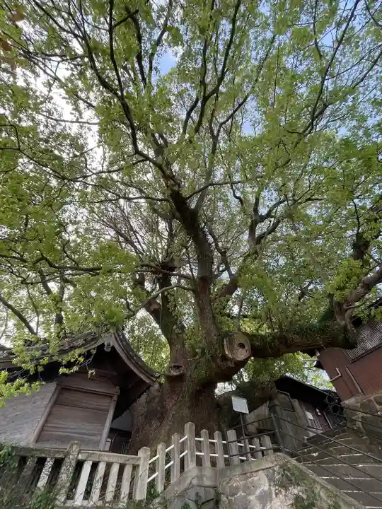 楠稲荷神社(長崎県)