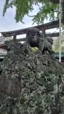 牛嶋神社の狛犬