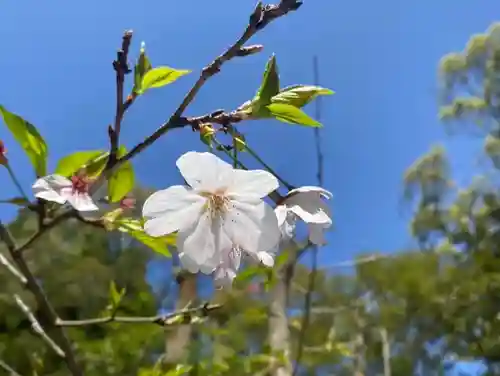 彦嶽宮(熊本県)