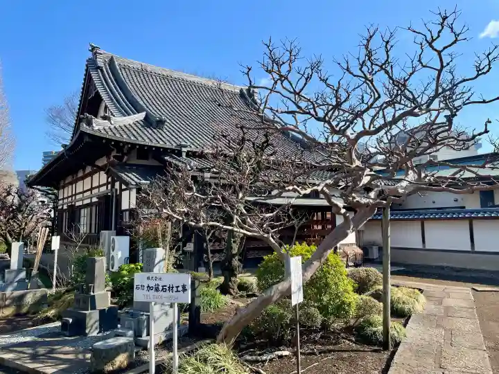 瑞円寺の{uncategorized: "未分類", other: "その他", undefined: "問題あり", building: "その他建物", grave: "お墓", sacred_gate: "鳥居", guardian: "狛犬", statue: "像", buddha: "仏像", history: "歴史", nature: "自然", garden: "庭園", animal: "動物", pagoda: "塔", temizu: "手水舎", mountain_gate: "山門・神門", sanctuary: "本殿・本堂", subordinate: "末社・摂社", art: "芸術", scenery: "景色", jizo: "地蔵", ema: "絵馬", goshuin: "御朱印", omikuji: "おみくじ", items: "授与品その他", amulet: "お守り", goshuincho: "御朱印帳", eats: "食事", festival: "お祭り", votive_dance: "神楽", shichigosan: "七五三参", wedding: "結婚式", experience: "体験その他", initially: "初詣", around: "周辺", anti_infection: "感染症対策"}