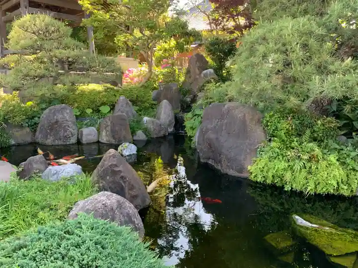 大蓮寺(千葉県)