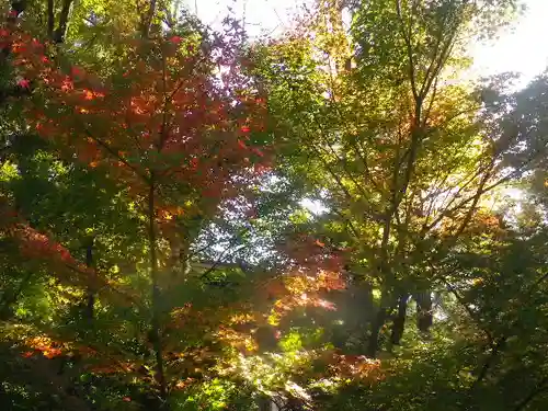 鶴岡八幡宮の自然